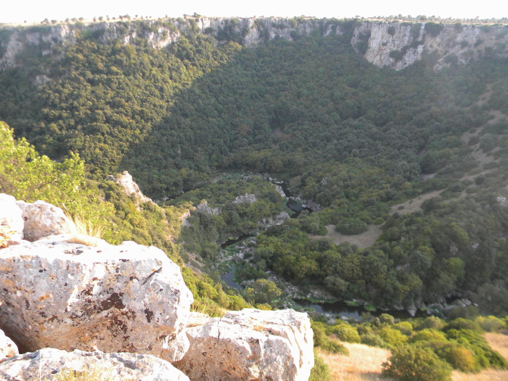 DSCN2641 .JPG
